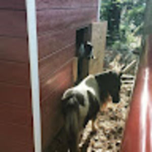 Meet your Posher, Gwendolynn